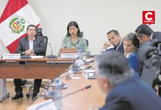 Perú Libre fracasa en su intento de ampliar la extensión del Reinfo