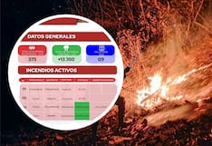 Cusco: cifra de fallecidos por incendios forestales se eleva a nueve tras muerte de mujer de 72 años