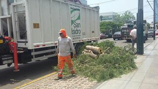 San Isidro: Vecinos se quejan por tala de árboles