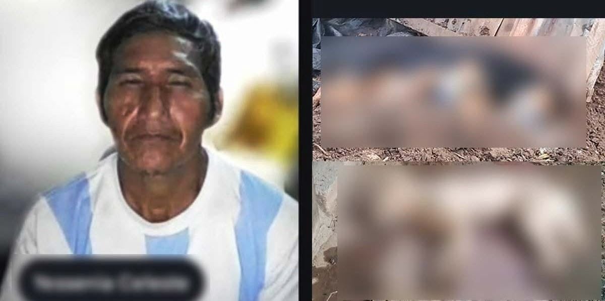 Satipo: Condenan a 3 años y 11 meses a hombre que envenenó a tres perros