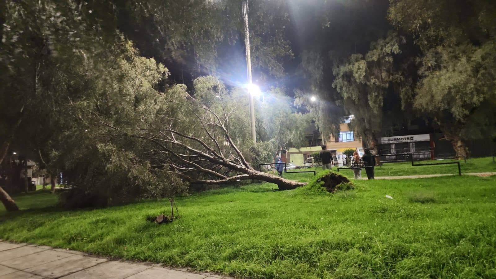 Vientos alcanzaron los 44 kilómetros por hora según el Senamhi. (Fotos: Correo)
