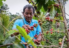 Agricultores de la Selva Central protestaron en el Gobierno Regional de Junín por presupuesto