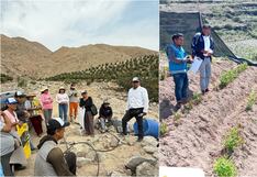 Chincha: gestionan el Seguro Agrario Catastrófico para los agricultores