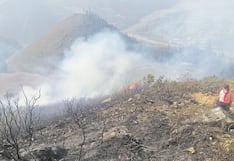 Tres incendios forestales en la sierra de la región La Libertad