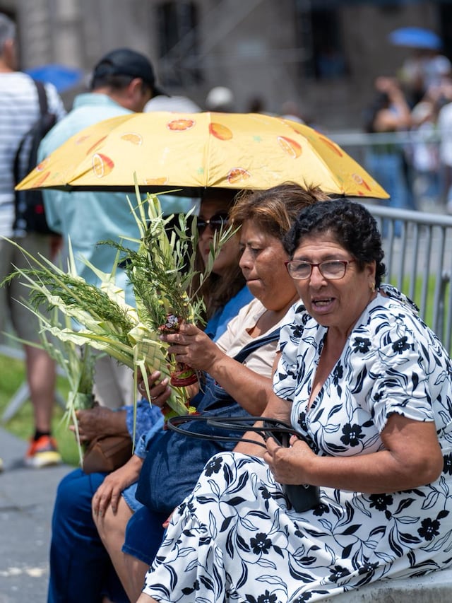 Domingo de Ramos: fieles y el Cristo Cholo recorren la Catedral y Plaza de Armas de Lima. (Fotos: Paloma del Solar/GEC)
