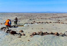 Majes Siguas II: Autodema solicita retirar condición de Patrimonio Cultural en Pampa Siguas