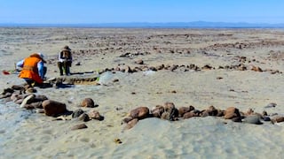 Majes Siguas II: Autodema solicita retirar condición de Patrimonio Cultural en Pampa Siguas