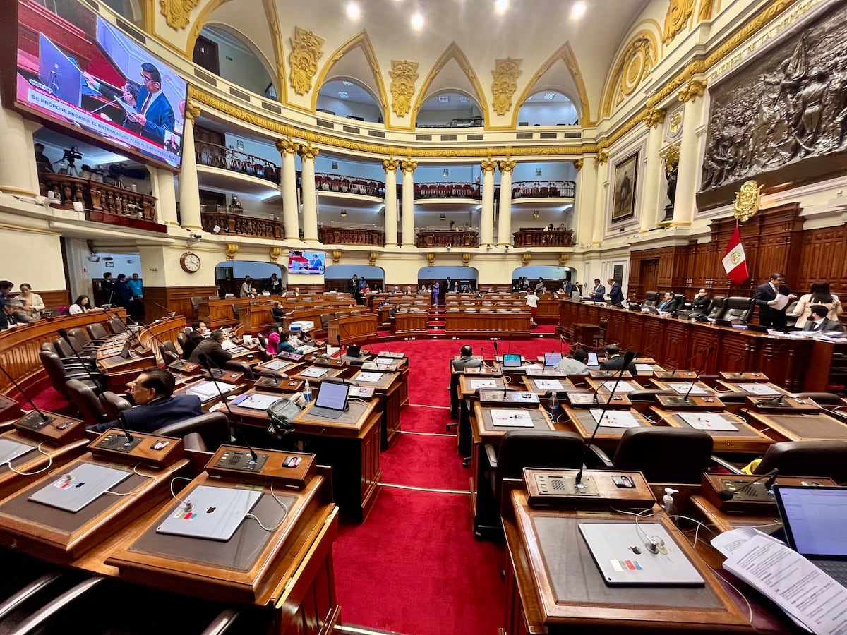 Entre diputados que alegaron falta de tiempo para leer nueve páginas, trabajadores bien remunerados, placas que cambian de nombre y una sospechosa incursión en Instagram, la política peruana volvió a dejar material de sobra.