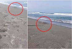 Chincha: pescadores encuentran a persona sin vida por la Playa Topará