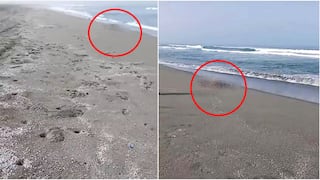 Chincha: pescadores encuentran a persona sin vida por la Playa Topará