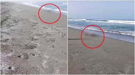 Chincha: pescadores encuentran a persona sin vida por la Playa Topará
