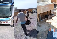 Maltrato animal: Perro fue llevado como encomienda en bus Arequipa-Lima (VIDEO)