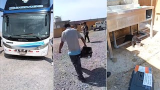 Maltrato animal: Perro fue llevado como encomienda en bus Arequipa-Lima (VIDEO)