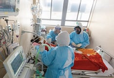 Mordedura de araña casera mata a mujer de 55 años y deja hospitalizada a menor en Arequipa