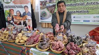 Junín es el sexto productor de papa en el país