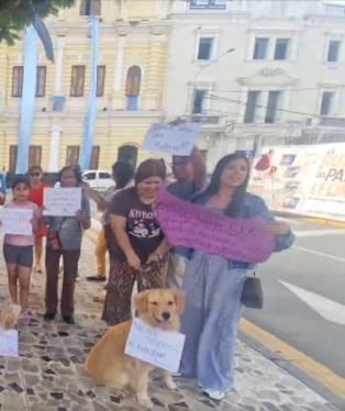 Personas con sus perritos protestaron en Parque Principal. Foto: TVI Noticias