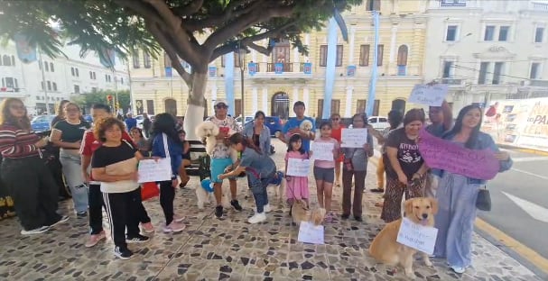 Personas con sus perritos protestaron en Parque Principal. Foto: TVI Noticias