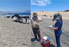 Ica: Dirección Regional de Salud realiza vigilancia sanitaria en la playa Carhuaz