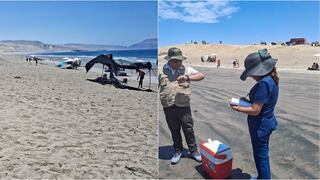 Ica: Dirección Regional de Salud realiza vigilancia sanitaria en la playa Carhuaz