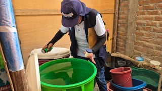 Diresa Piura ejecuta plan de prevención y control del dengue ante lluvias en la región