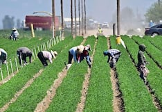 Unas 3.8 millones de personas tenían un segundo empleo durante el 2024