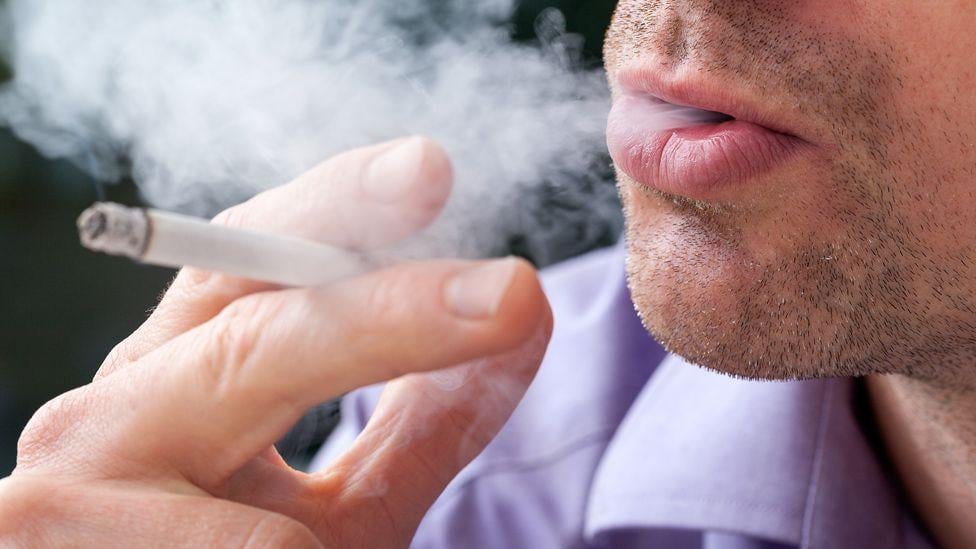 El consumo de tabaco, incluso en pequeñas cantidades, está asociado a diversos tipos de cáncer. Expertos recomiendan fortalecer la prevención mediante chequeos médicos periódicos y hábitos saludables.