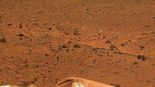 Descubren bacteria que puede sobrevivir en Marte