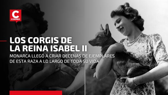 La reina Isabel II y los corgis reales: esta es la historia de los perros que la monarca crió durante toda su vida