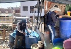 Pisco: refuerzan lucha contra el dengue con control de criaderos en San Clemente