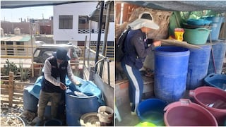 Pisco: refuerzan lucha contra el dengue con control de criaderos en San Clemente
