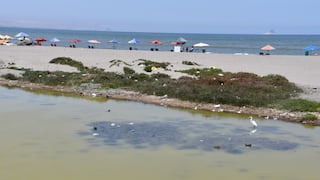 Seis playas de Pisco son declaradas no saludables por la Dirección General de Salud Ambiental
