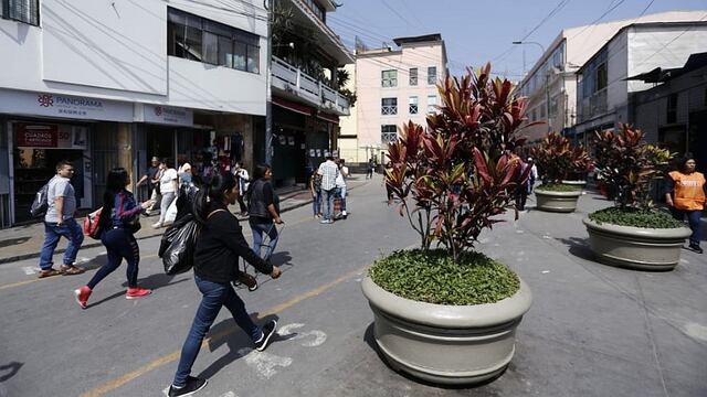 Municipalidad de Lima instala maceteros y arboles en Mesa Redonda (VIDEO Y FOTOS)