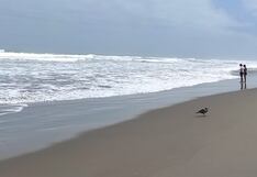 Nuevo rostro para las playas de Samuel Pastor de la región Arequipa