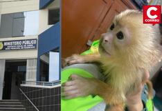 La Oroya: Decomisan un mono silvestre a pasajera en un bus interprovincial