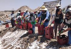 Arequipa: Municipio de Cerro Colorado se deshace de 2 mil 636 botellas de cerveza y licor (VIDEO)