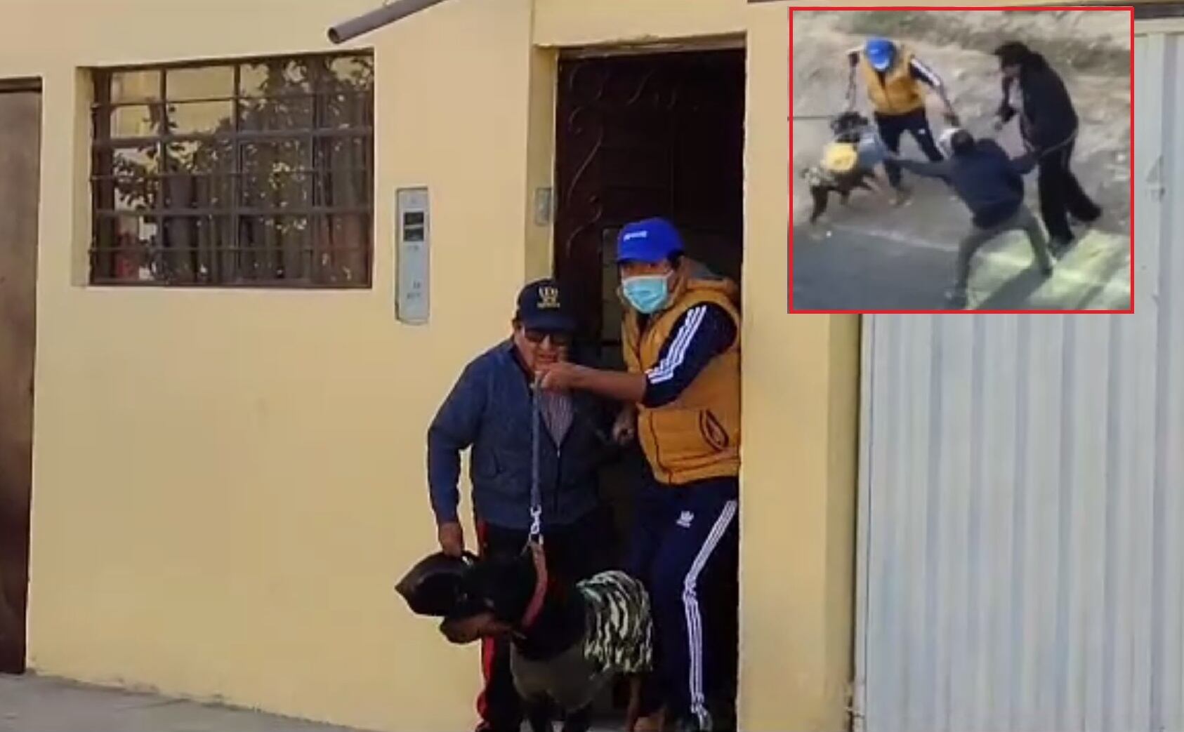 Con videos se confirma que can y varón que atacaron a periodistas salieron de vivienda donde estaba Betssy Chávez