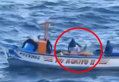 Pisco: Fiscalía investiga a pescadores por matar a lobo marino atrapado en malla de pescar