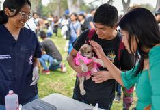 Patatón 2025 llega al Circuito Mágico del Agua para ayudar a miles de animales rescatados