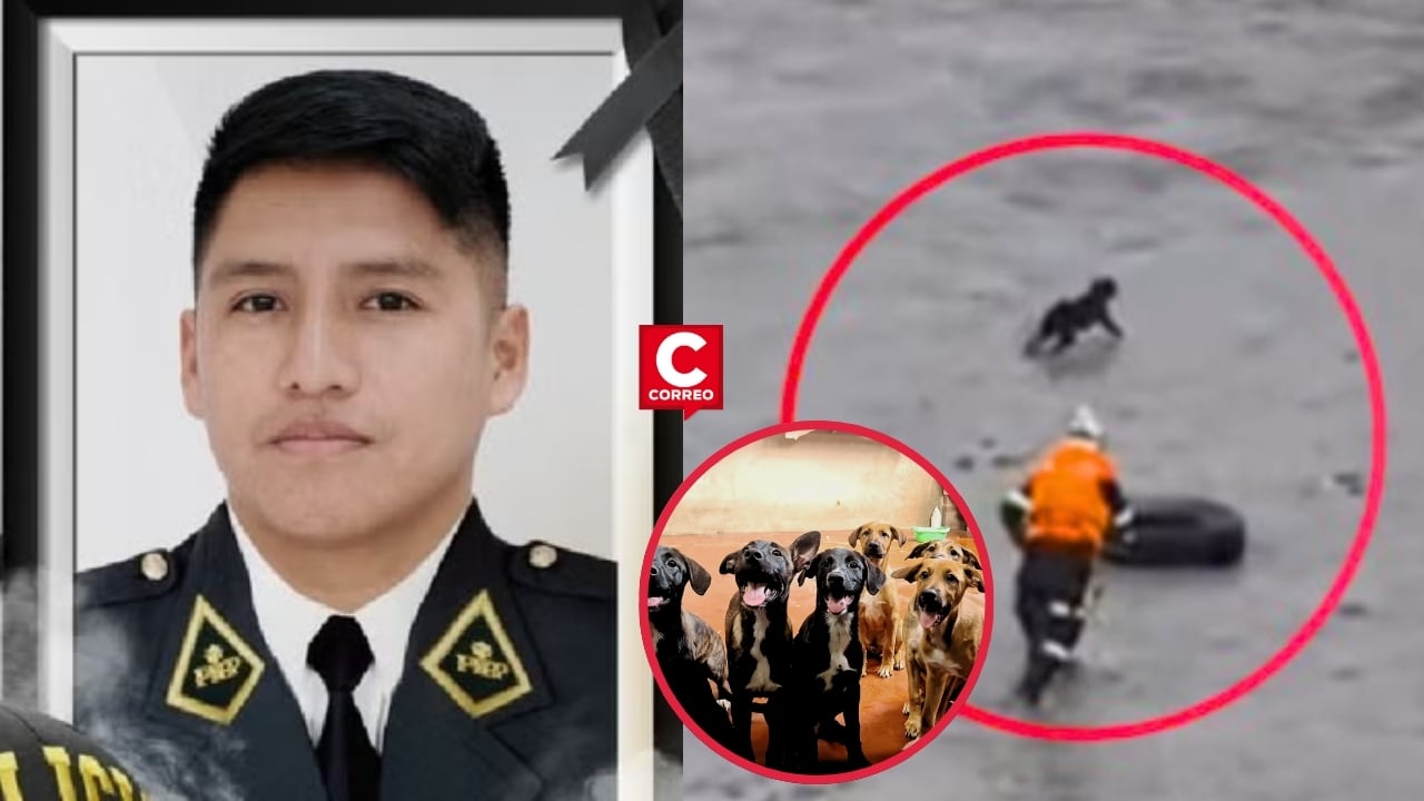 Municipalidad de Surco rinde homenaje a Patrick Ospina Orihuela con albergue y parque en su memoria. Composición: Diario Correo.