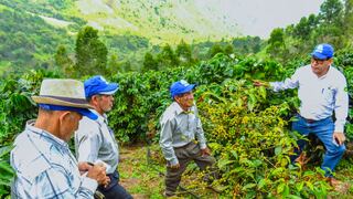Piura: Fortalecen sector cafetalero de la región