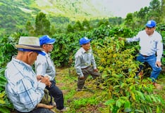 Piura: Fortalecen sector cafetalero de la región