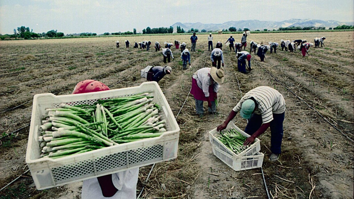 El pago que se hará a los bonistas de la deuda agraria podrá ser en efectivo, con terrenos, o participación en proyectos de inversión. (Foto: Andina).