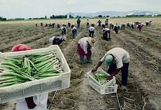 MEF pide más tiempo al TC para publicar el reglamento que permitirá pagar los bonos de la deuda agraria