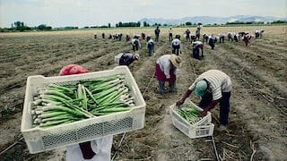 MEF pide más tiempo al TC para publicar el reglamento que permitirá pagar los bonos de la deuda agraria