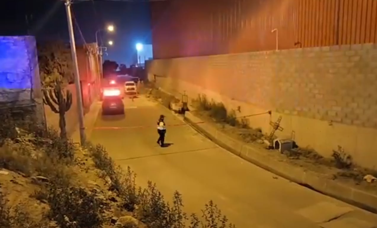Adulto mayor murió en un canal de regadío junto a una oveja y perrito en Arequipa
