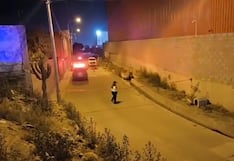 Adulto mayor murió en un canal de regadío junto a una oveja y perrito en Arequipa