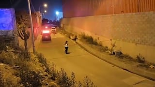 Adulto mayor murió en un canal de regadío junto a una oveja y perrito en Arequipa