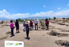 Ica: gestionan el Seguro Agrícola Catastrófico para agricultores