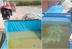 Pisco: Hospital San Juan de Dios intensifica acciones de prevención contra el dengue