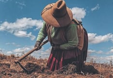 Son 32 mil hectáreas de cultivo en riesgo por heladas en Arequipa